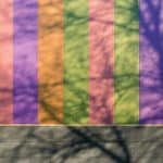Color Stories: Exploring the Art of Silhouettes