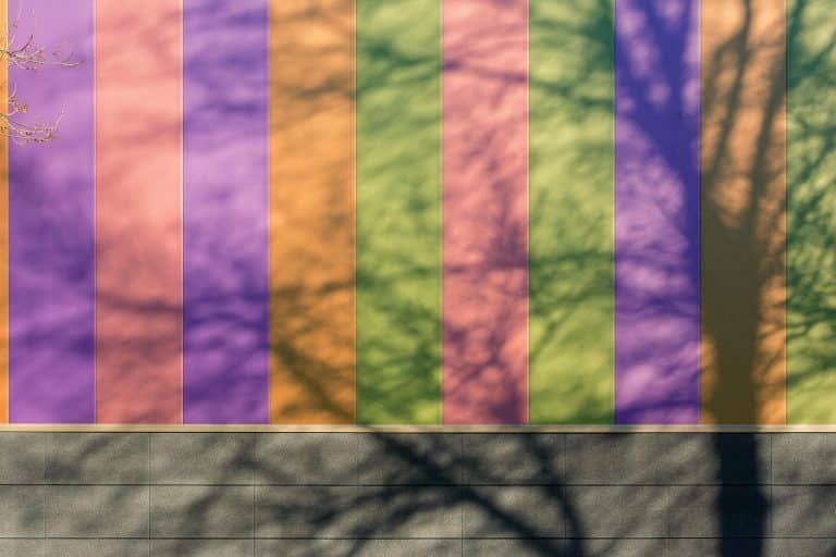 Color Stories: Exploring the Art of Silhouettes