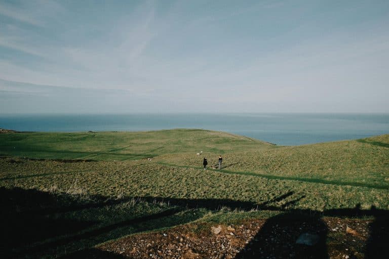 The Evolving Landscape of Legal Advocacy