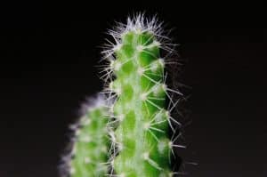The Resilient Professional's Approach to Continuous Reinvention