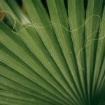 Understanding the Nuanced World of Environmental Law