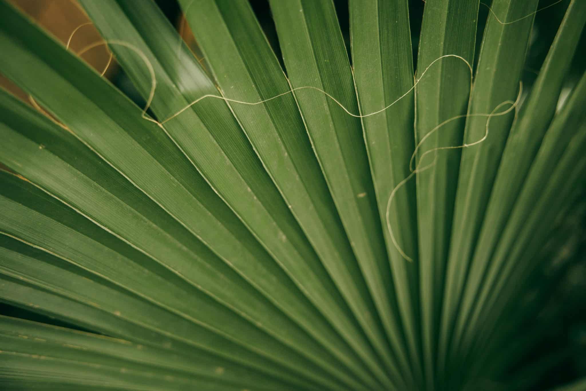 Understanding the Nuanced World of Environmental Law