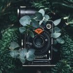 Vintage Reimagined: Classic Styles for Contemporary Perspectives