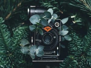 Vintage Reimagined: Classic Styles for Contemporary Perspectives