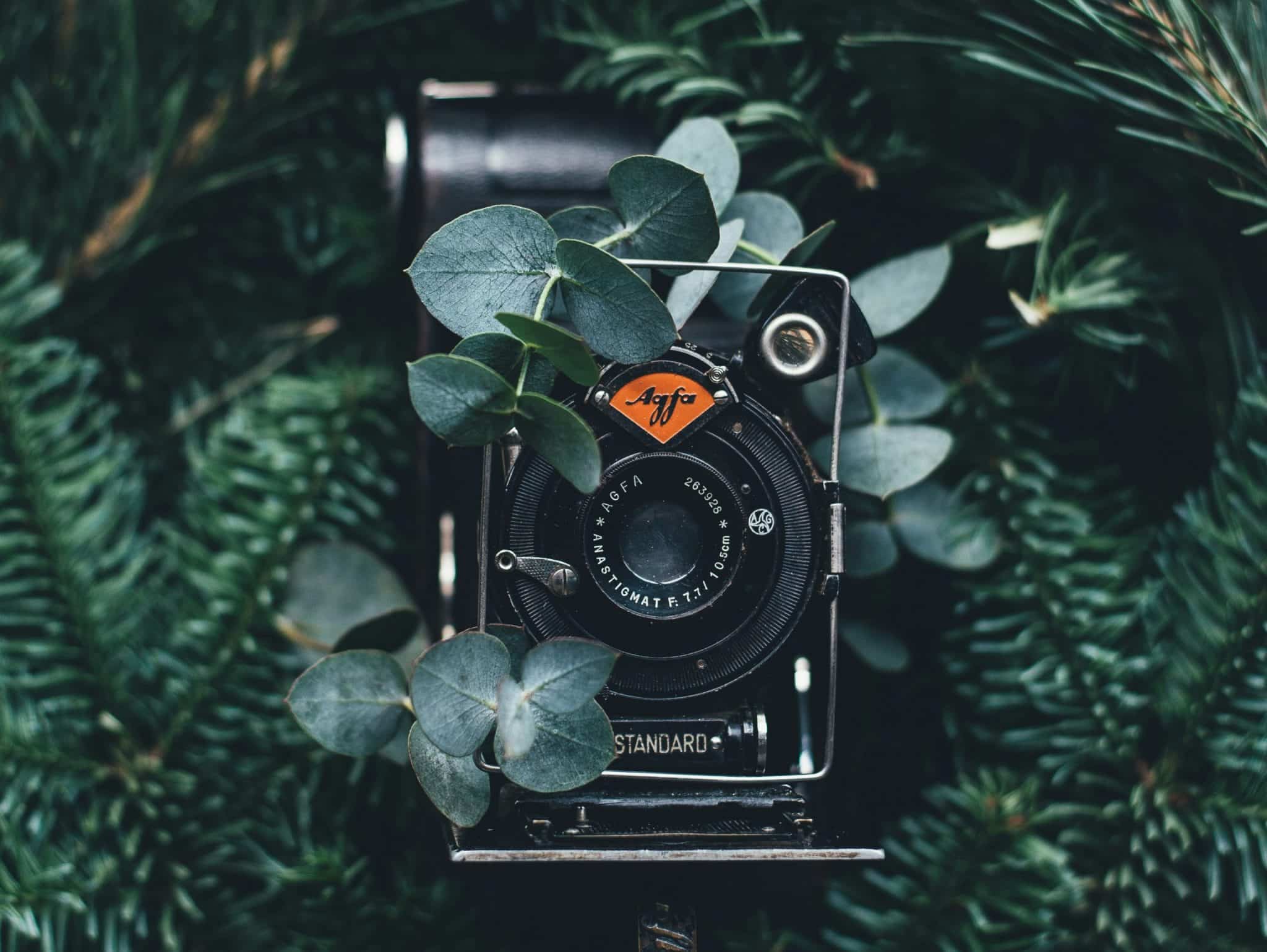 Vintage Reimagined: Classic Styles for Contemporary Perspectives