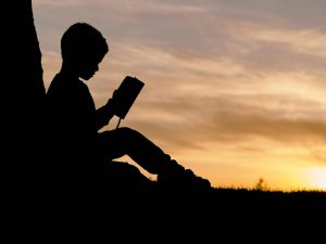 Designing Adaptive Learning Environments for Diverse Learners