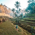 Navigating the World of Extreme and Expedition Travel
