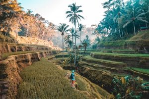 Navigating the World of Extreme and Expedition Travel