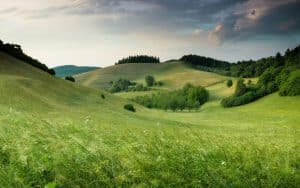 Navigating the Complex Landscape of Sustainable Transportation Solutions