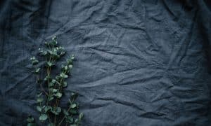 Fabric Futures: Technological Innovations in Textile Design