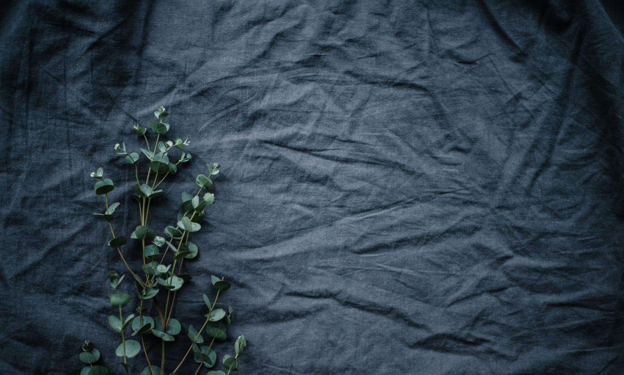 Fabric Futures: Technological Innovations in Textile Design