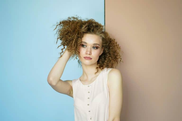 Seasonal Silhouettes: Adapting Style Across Changing Landscapes