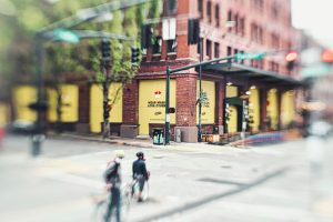 The Intersection of Neuroscience and Educational Innovation