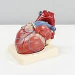 Robotics Innovations in Medical and Surgical Fields