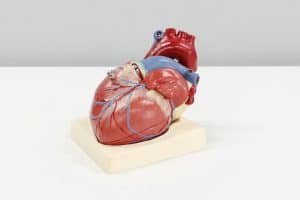 Robotics Innovations in Medical and Surgical Fields