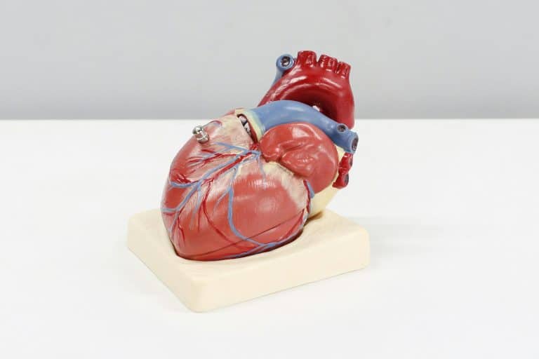Robotics Innovations in Medical and Surgical Fields
