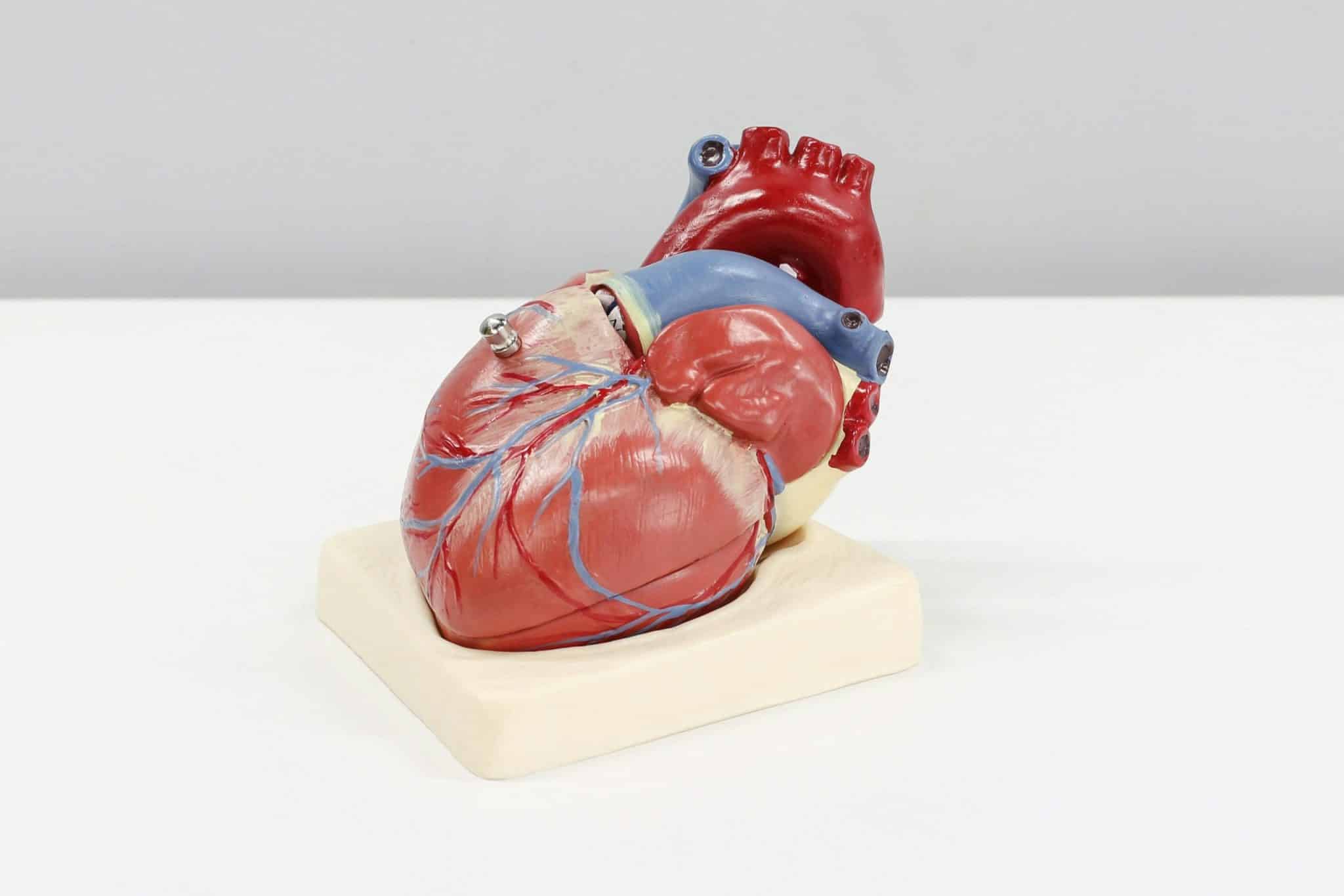 Robotics Innovations in Medical and Surgical Fields