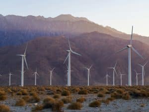 Designing Educational Ecosystems for Sustainable Future Innovations