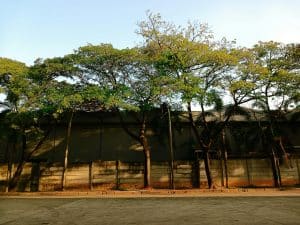 The Unexpected Impact of Mindfulness on Educational Achievement